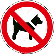 Dogs , حیوانات خانگی , اهلی , 